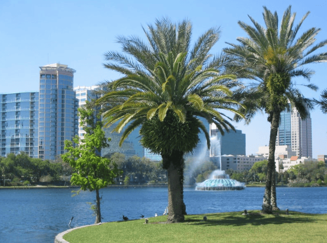 Orlando Franchise Attorney